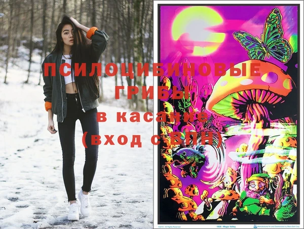 мяу мяу мука Кукмор