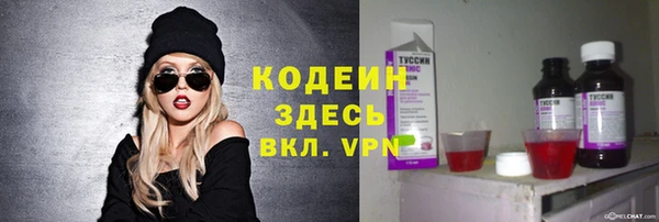 сатива Лабытнанги
