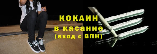 сатива Лабытнанги