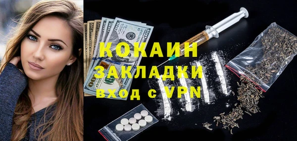 сатива Лабытнанги