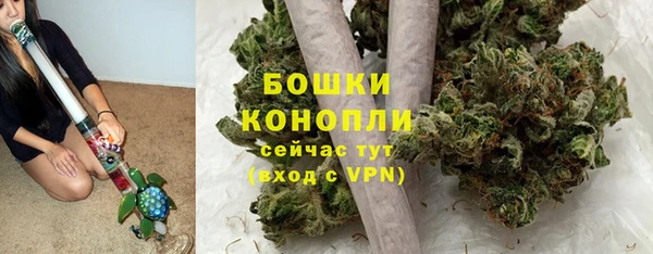 бошки Ладушкин