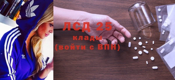 сатива Лабытнанги