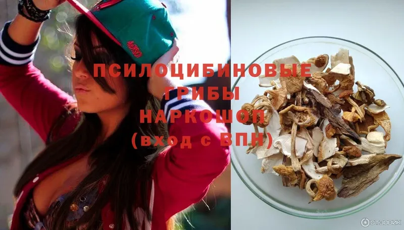 блэк спрут   купить наркоту  Георгиевск  Галлюциногенные грибы Cubensis 