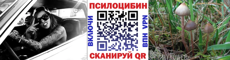 Галлюциногенные грибы мицелий  Георгиевск 