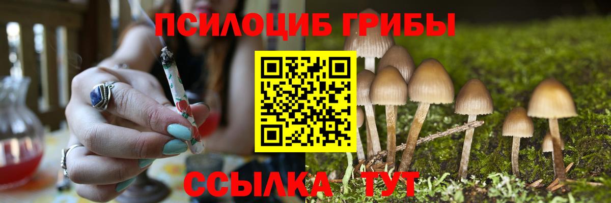 Псилоцибиновые грибы GOLDEN TEACHER Георгиевск
